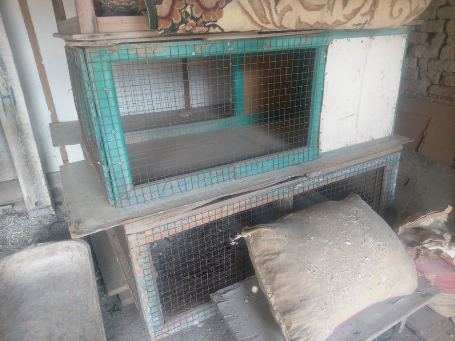 Брудер сатылады...