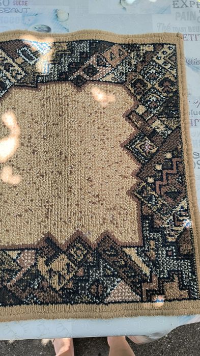 Covor 200x300 cm și o carpeta 60x105 cm