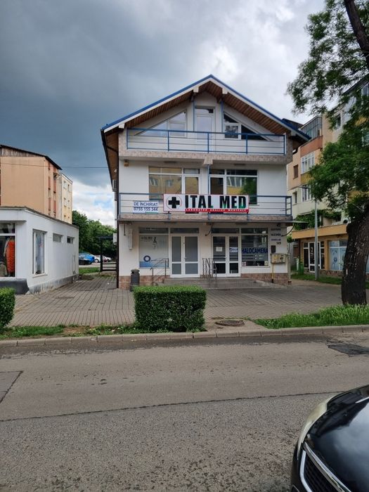 Spațiu de inchiriat Goldis