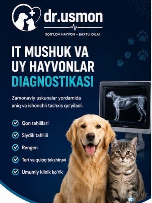 Sifatli veterinariya xizmati 24/7