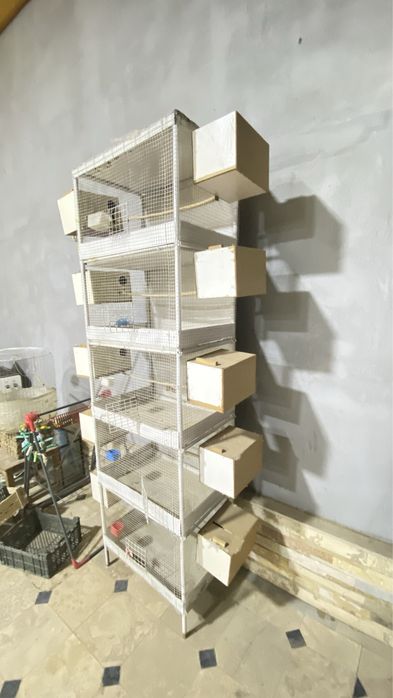 Sotiladi tayor valer