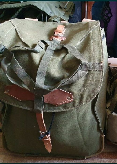 Ranita militara verde inchis