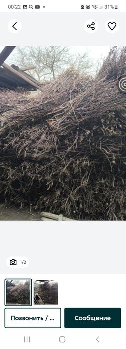 Отин шохлари сотилади