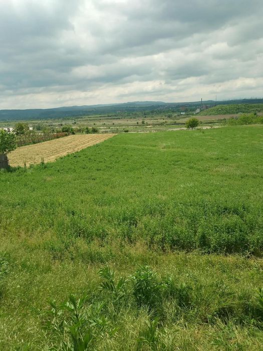 Teren intravilan in Comuna Gura-Vaii