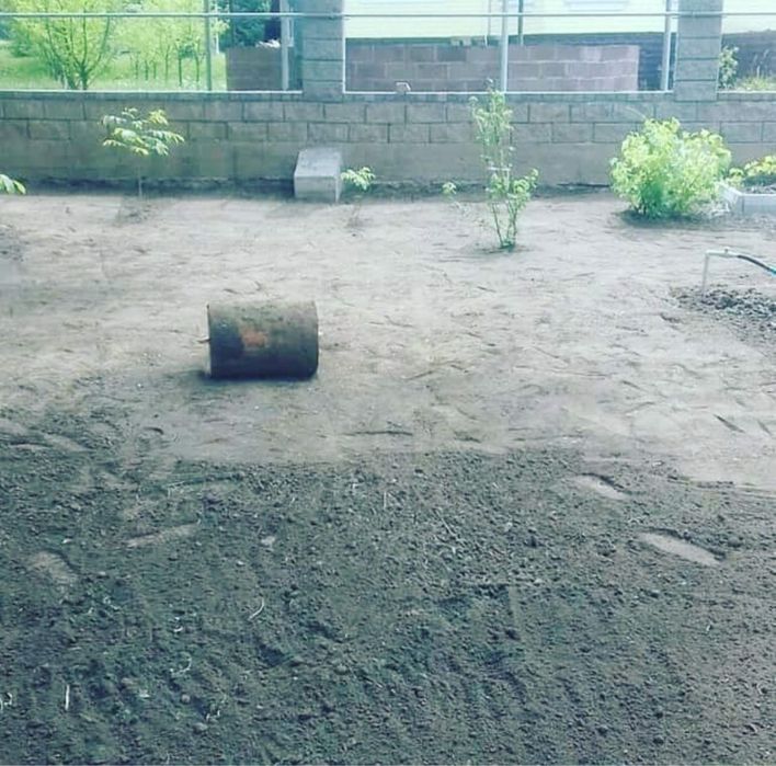 Посадка газона газон под ключ