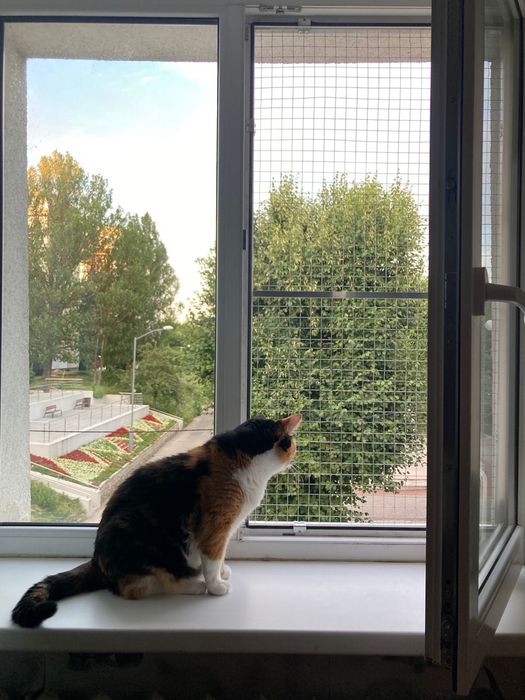 Защита для кошек