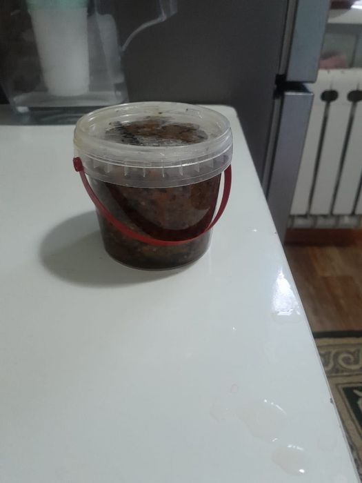 Иммунитет көтеретін халал өнім