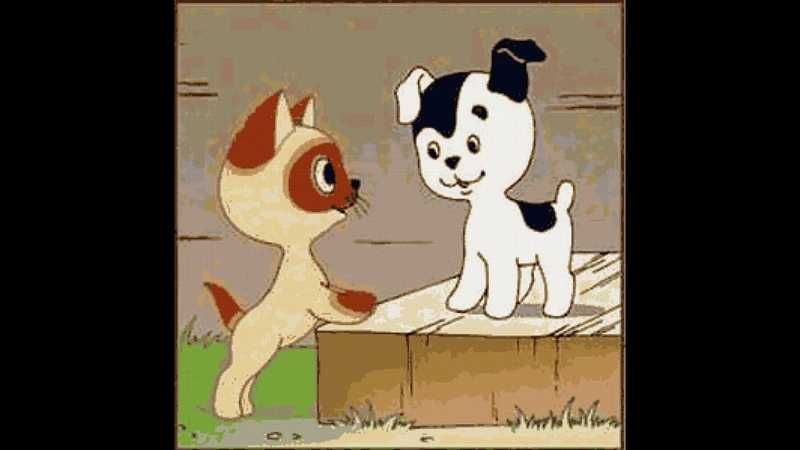 Отдам в добрые и заботливые руки замечательную кошечку! по имени Гав