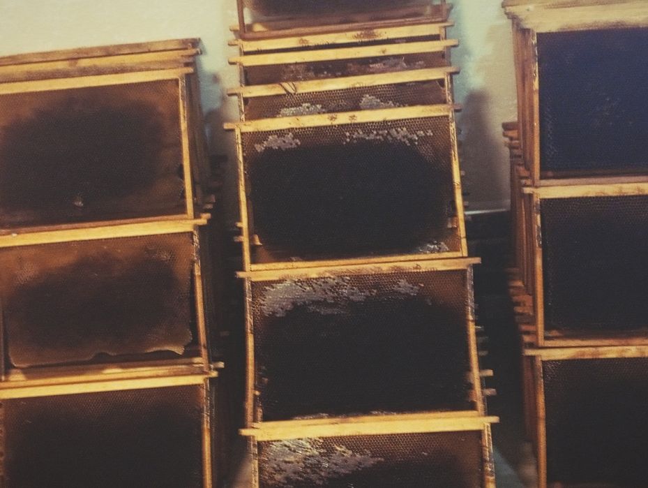 Sushi ramkalar sotiladi