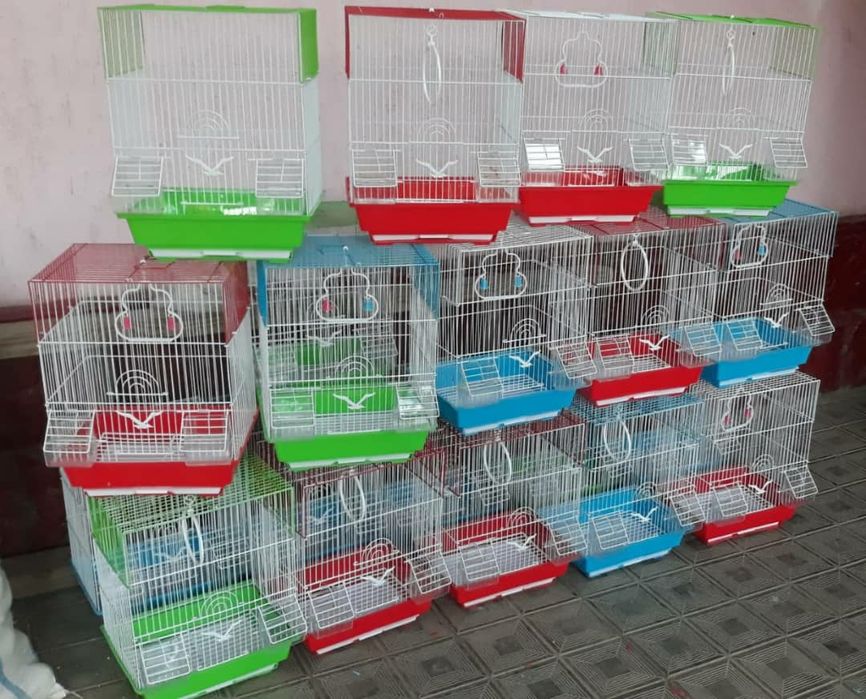 Волнистые попугаи