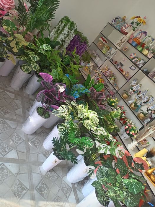 Суний ва декоротив гуллар 80мингдан бошлаб