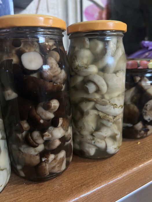 Маринованные грибы