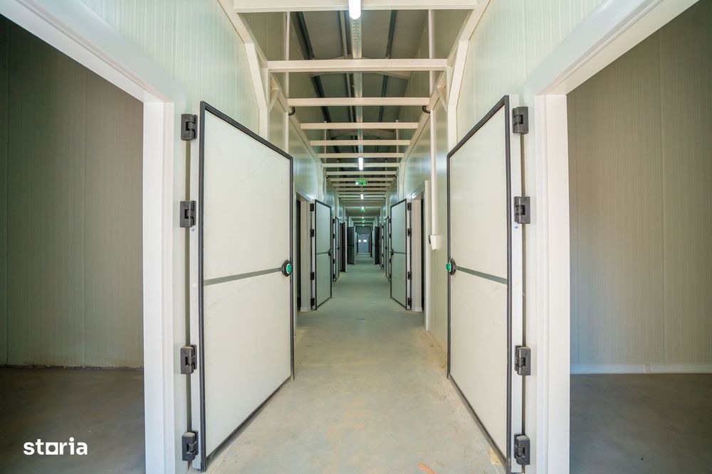 Parc Logistic – Spații de Depozitare, Refrigerare și Congelare