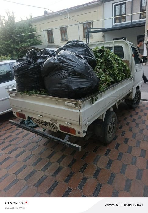 Musir musr stroy musir мусир
