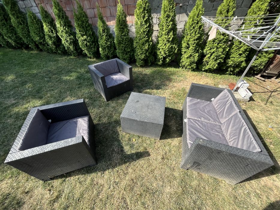 Set canapea si fotoli