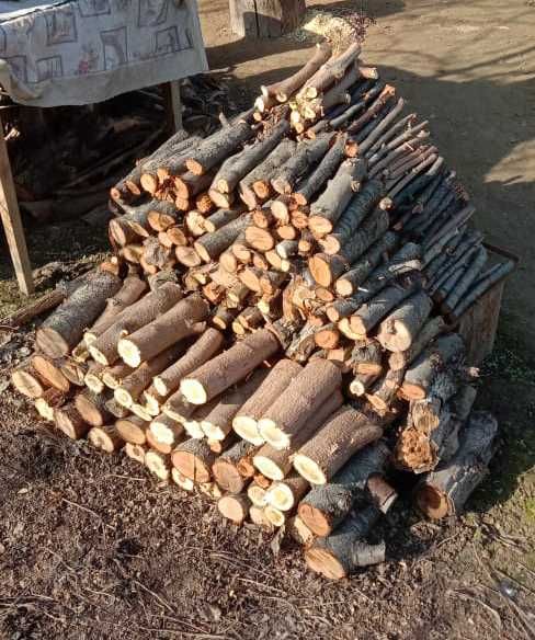 Дрова садовых деревьев