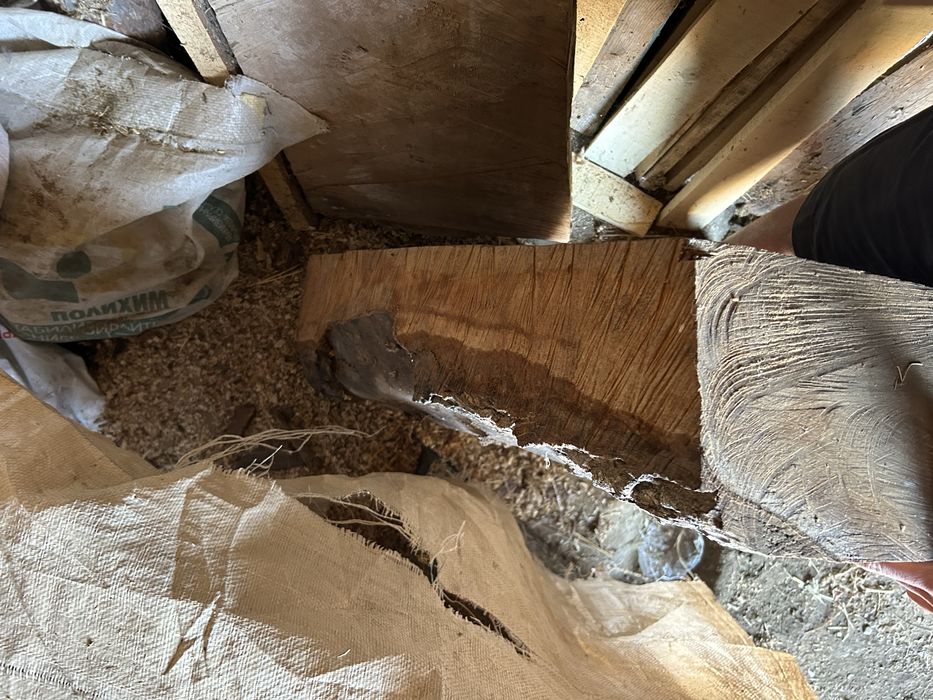 Сух орехов материал