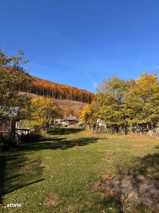 Teren Salatrucu - 7500 mp