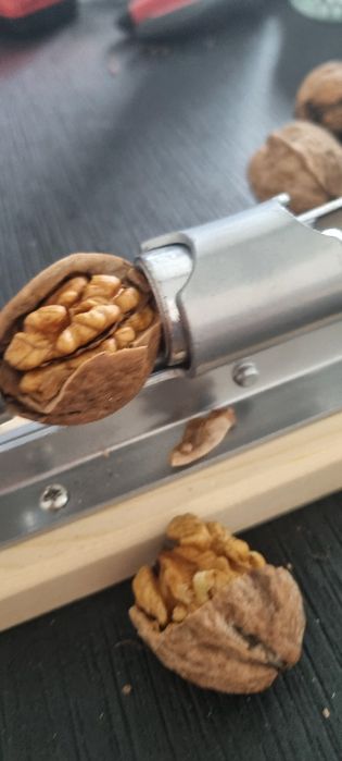 Орехотрошачка бадеми и лешници