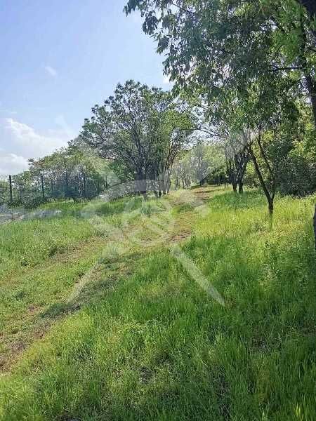 Продава се Парцел в с. Марково, Област Пловдив - 751 кв.м за 100 €/кв.м - Снимка #2