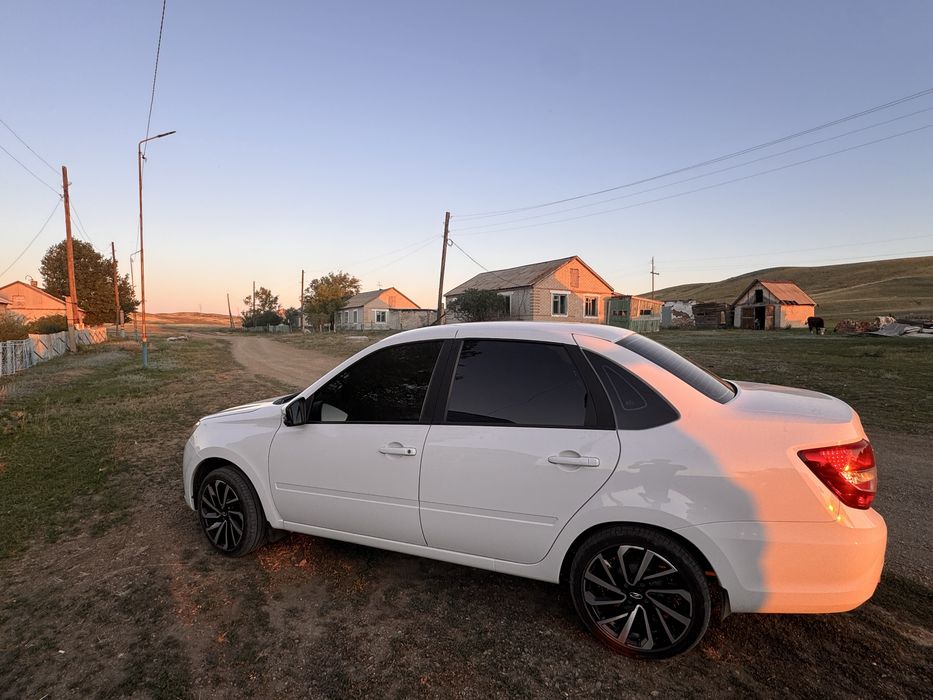 Продам ястербы R16