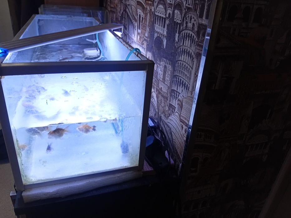 Аквариум продаётся