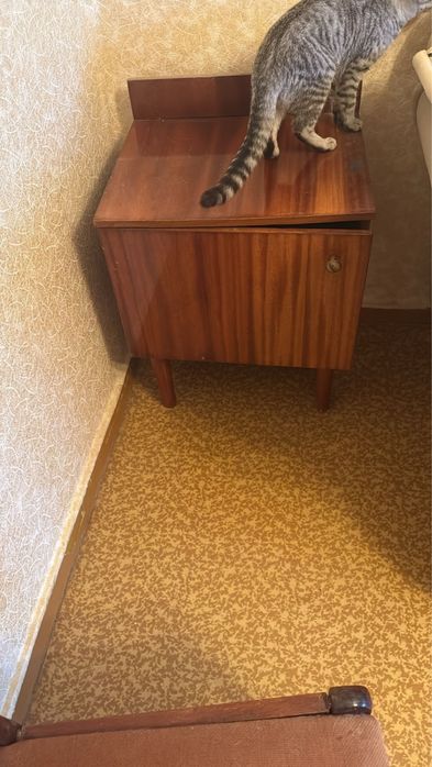 Отдам даром самовывоз