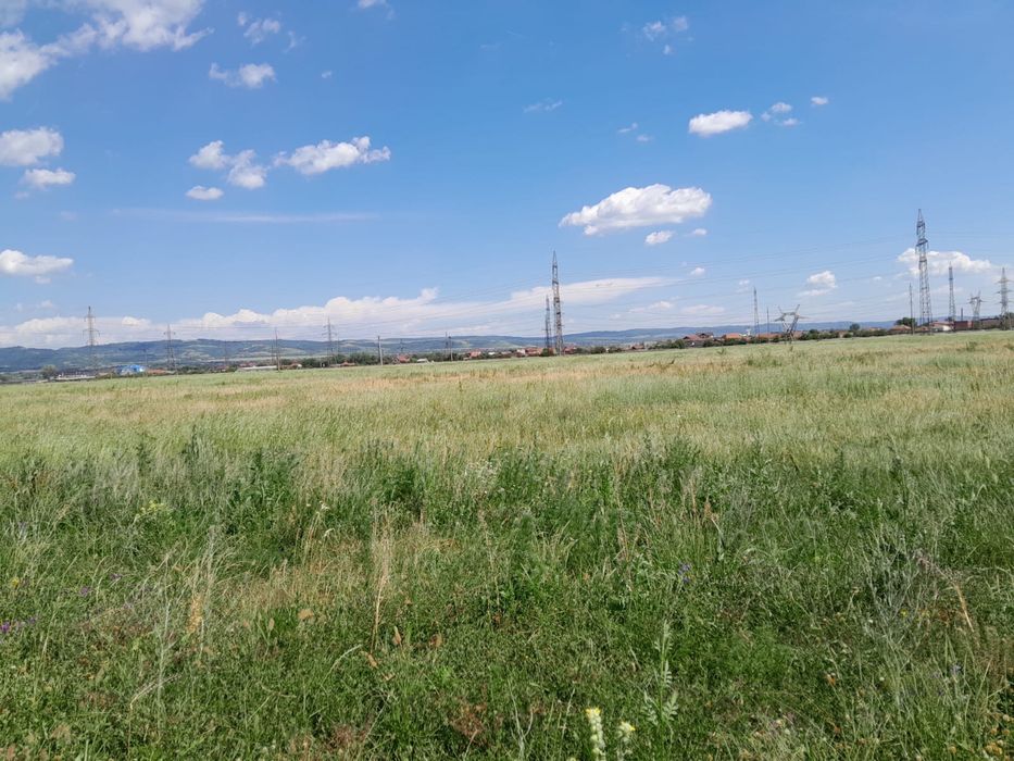 Teren extravilan de vanzare – 500 /1000 mp, Strada Walter, zona Calea Targu-Jiului, Drobeta-Turnu Severin