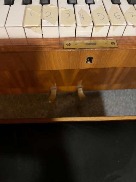 Pian Legnica Made Polonia