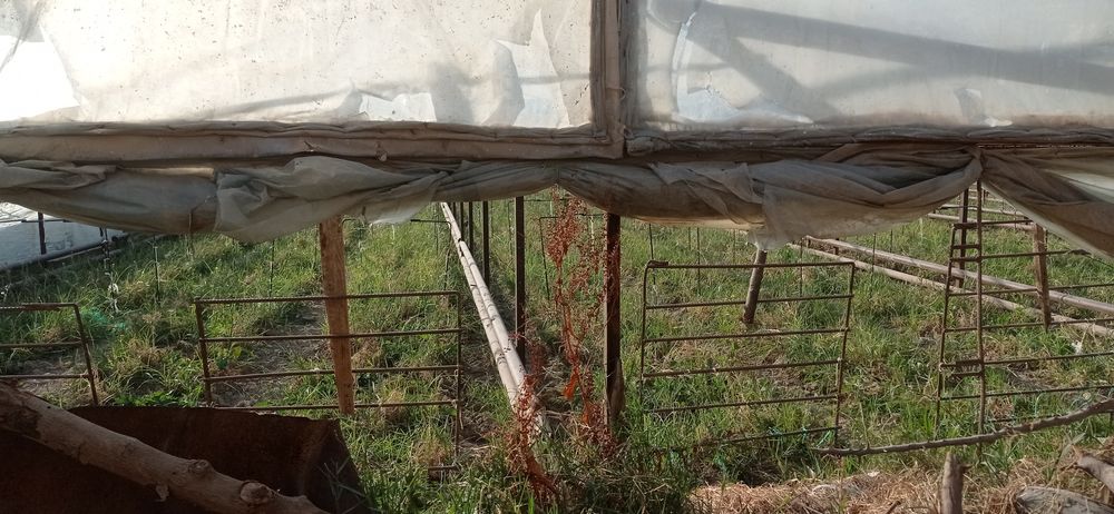 Теплицы из угольника