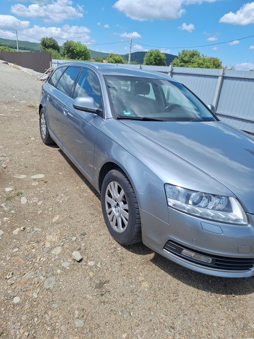 Usi Audi A6 C6  cod culoare LY7G