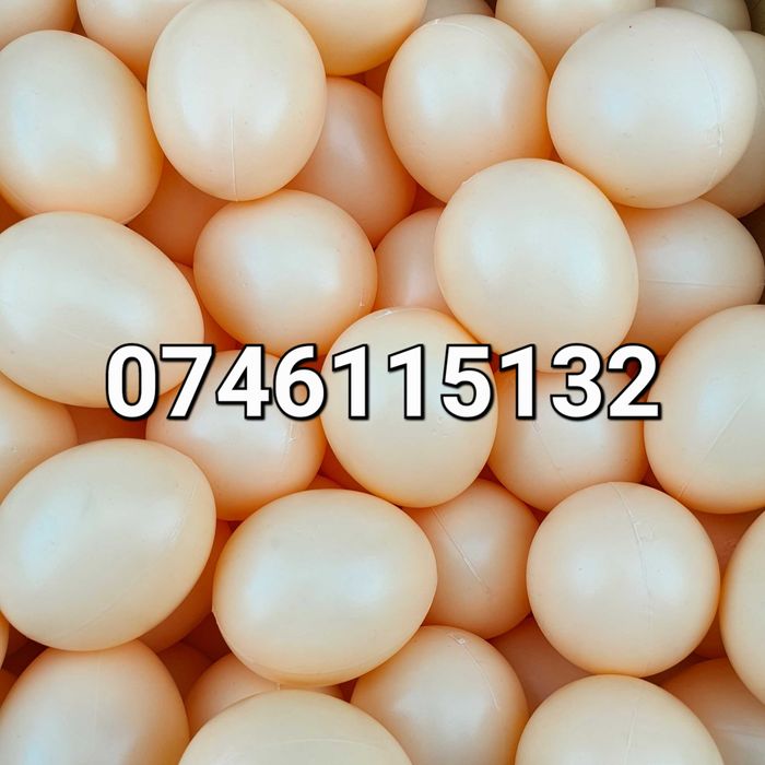 Ou FALS pt Gaini Puicute Pasari- Oua FALSE din plastic pt cuibar comun