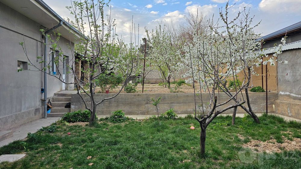 Qibrayda 6,56 sotixli 6 xonali tayyor uy — Toshkentdan 1 km