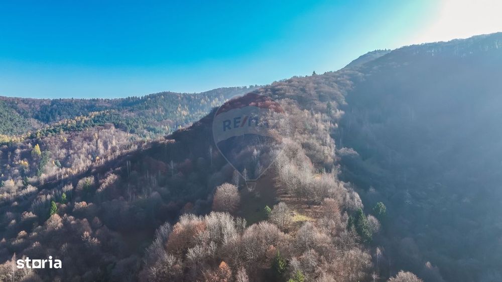 Teren Colinar Panoramic – 17.684 mp în Scheii Brașovului