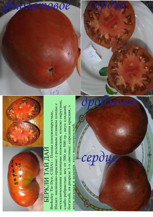продам емена томатов и перцев