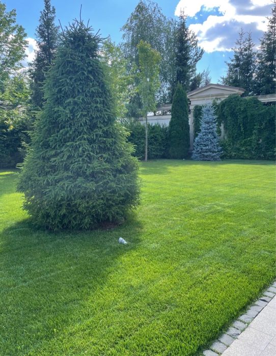 Газон под ключ вспашка земли мотоблоком