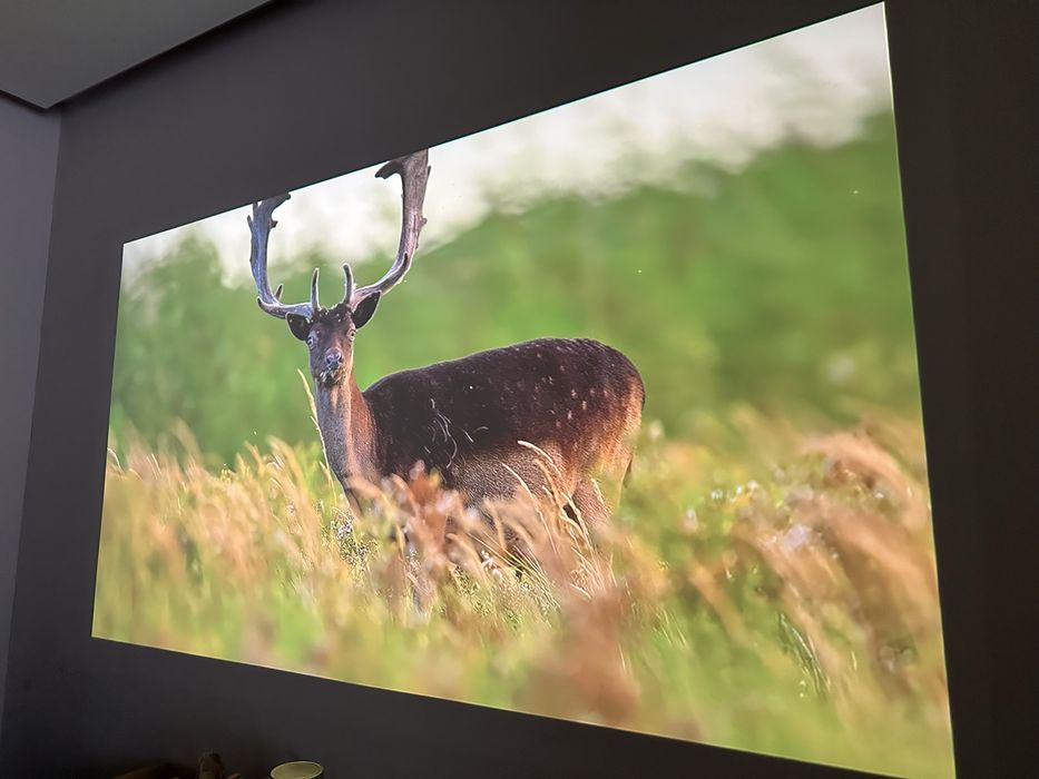 ТВ проектор Samsung the Freestyle до 100d (254см).