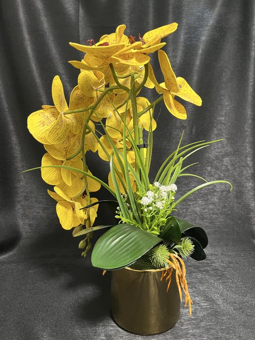 Arajnament orhidee premium