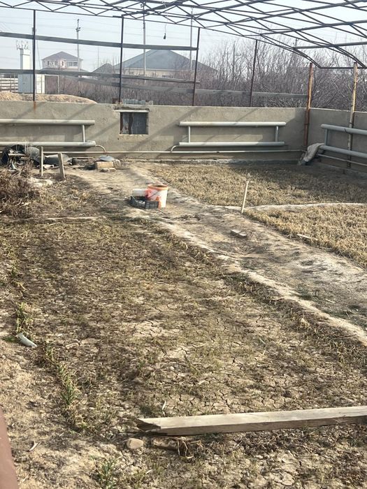 Аренда теплицы в балауса