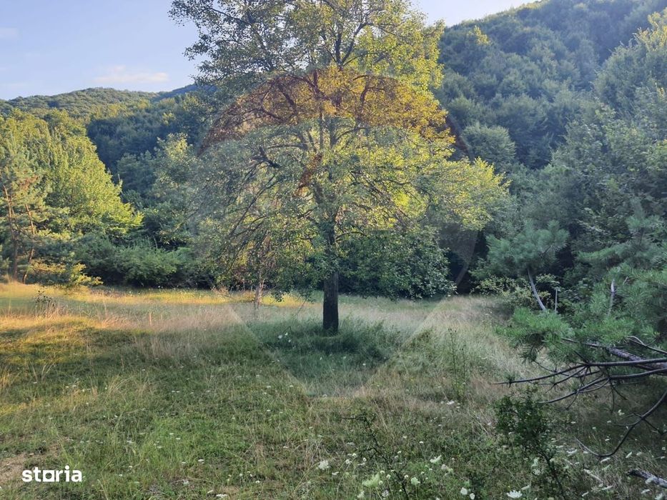 Poiană pentru cabana de vanzare intravilan Coas