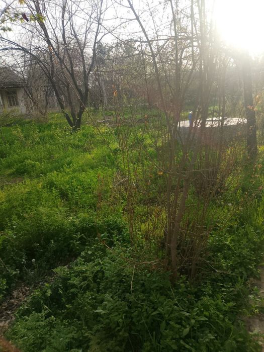 Dacha sotiladi qiziqgan kelib kurishi mumkin