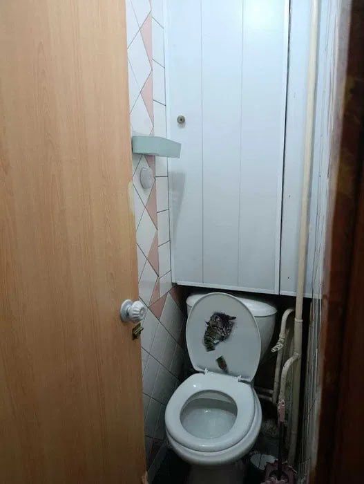 Юнусабад 2/3/4  57 м2