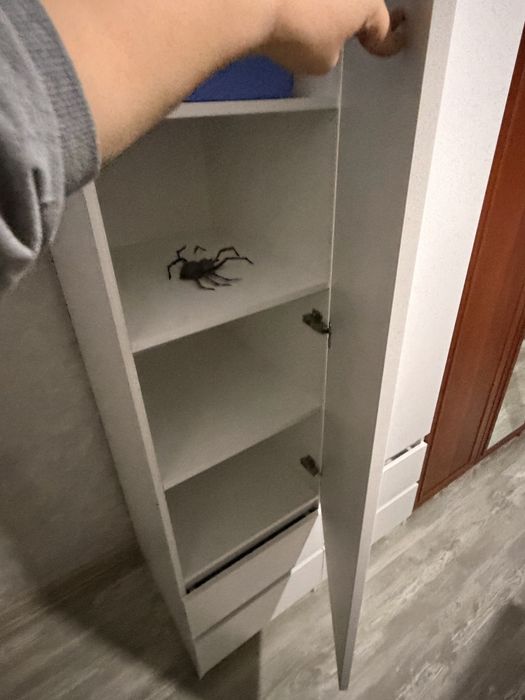 Подам мебель шкафы и столовый шкаф
