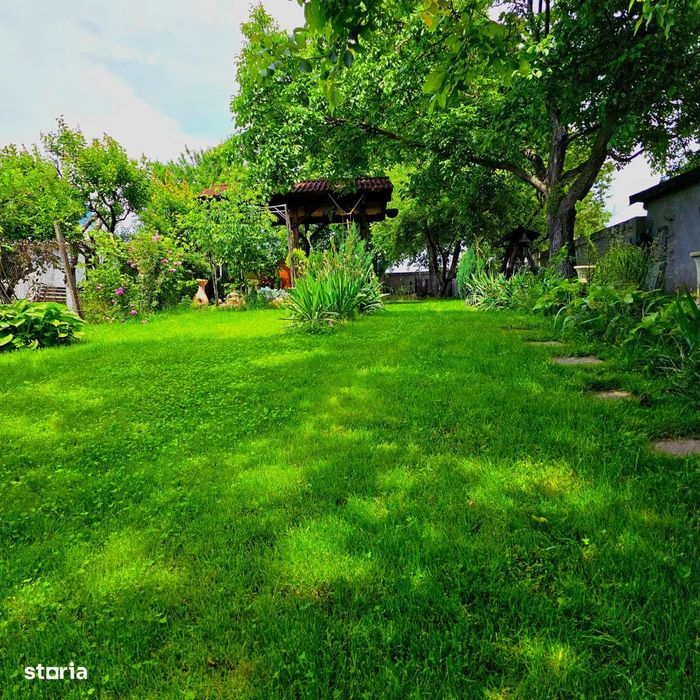 Teren 900 mp, central, str. Obedeanu- spatele Grădinii Botanice