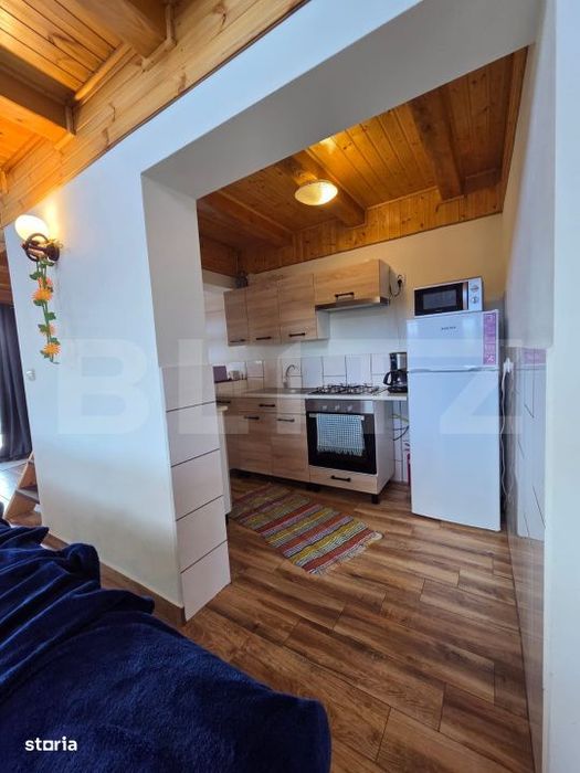 Casa de vacanta + 3000 mp teren, Gura Humorului