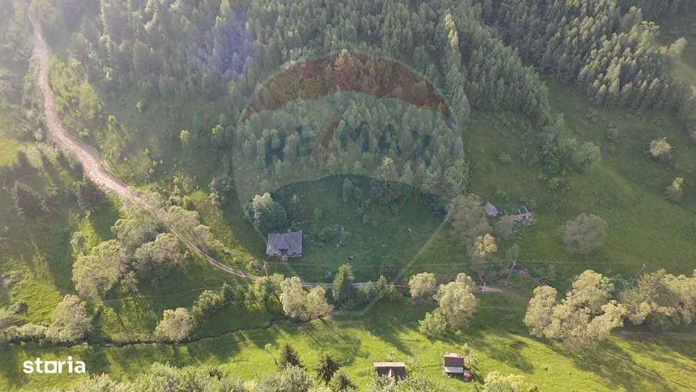 Teren 38,704mp Sirnea | 2.000 mp Intravilan | 36,704 Extravilan