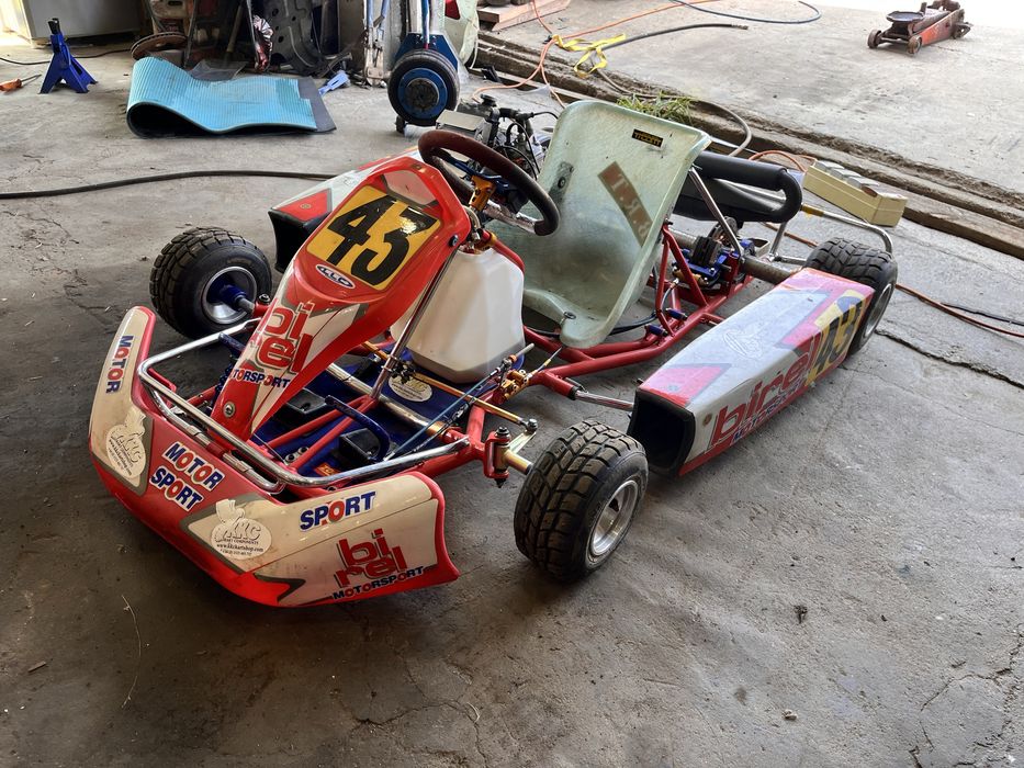 Картинг ROTAX 125 кубика