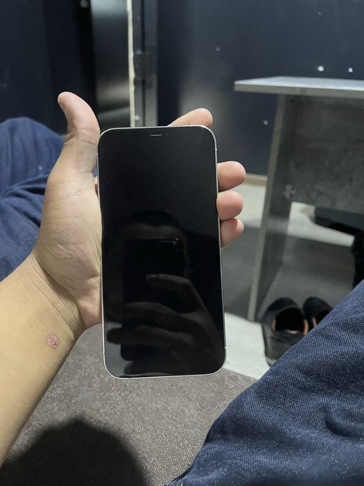 iphone 12 pro maks