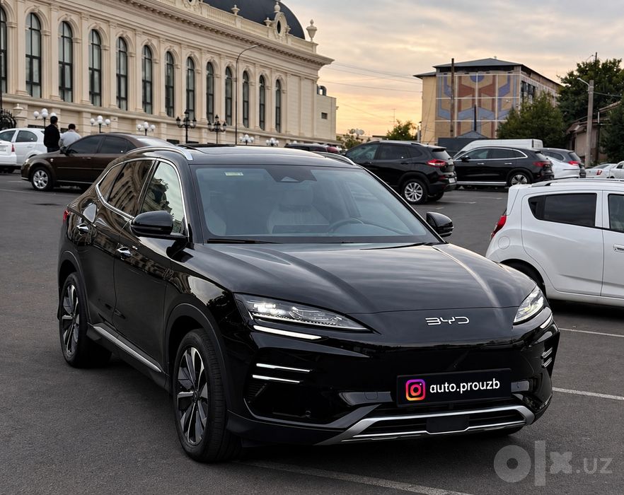 Byd champion Restailing qora 25 yil Salondan olingan