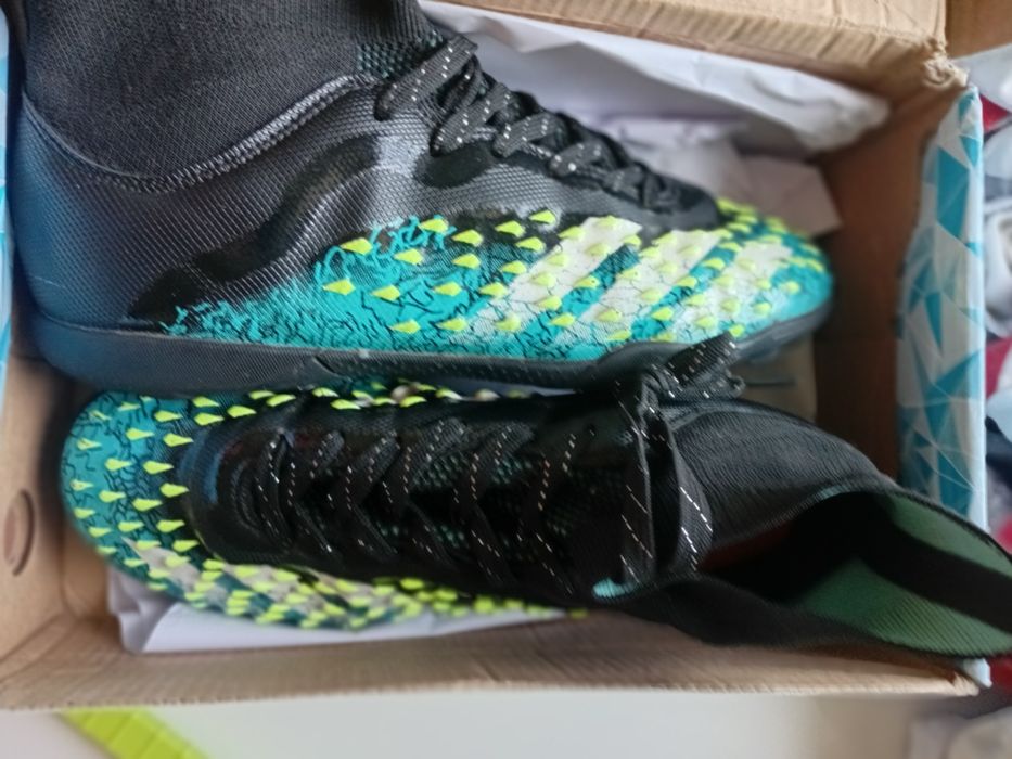 Сороконожки предатор